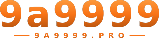 9a9999 logo